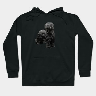 Briard Dog -Black Briard Hoodie